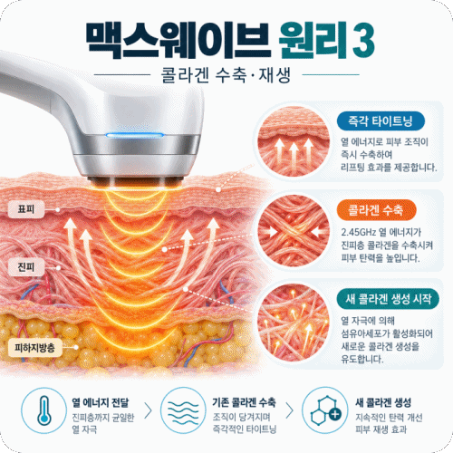 맥스웨이브 원리 