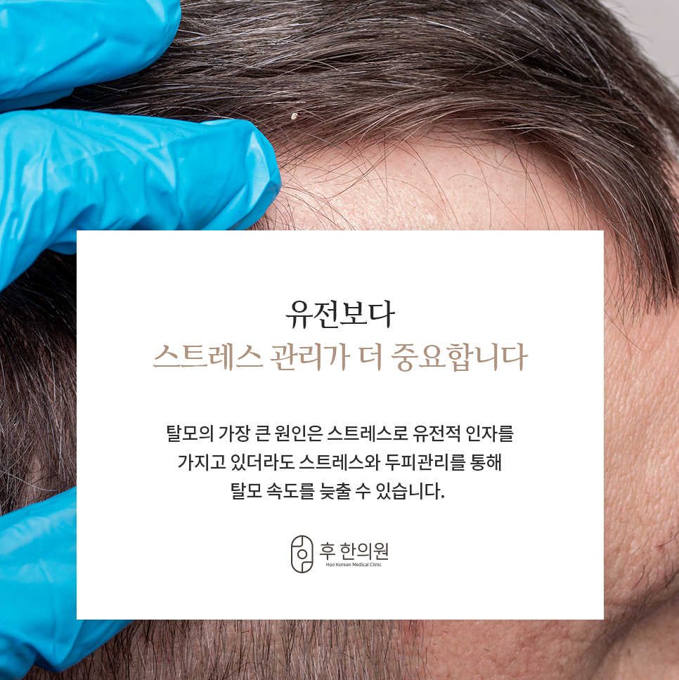 랜딩이미지